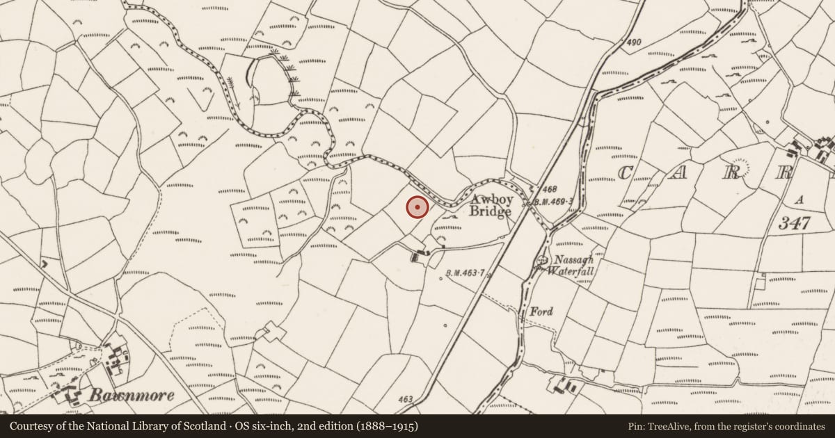 Ordnance Survey six-inch map, 2nd edition (1888–1915) covering the location of Enclosure, Bawnmore, County Cork, with a pin at the register's coordinates