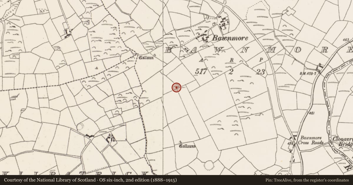 Ordnance Survey six-inch map, 2nd edition (1888–1915) covering the location of Enclosure, Bawnmore, County Cork, with a pin at the register's coordinates