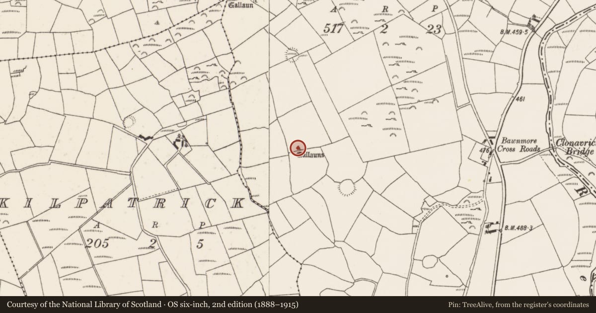 Ordnance Survey six-inch map, 2nd edition (1888–1915) covering the location of Standing stone - pair, Bawnmore, County Cork, with a pin at the register's coordinates