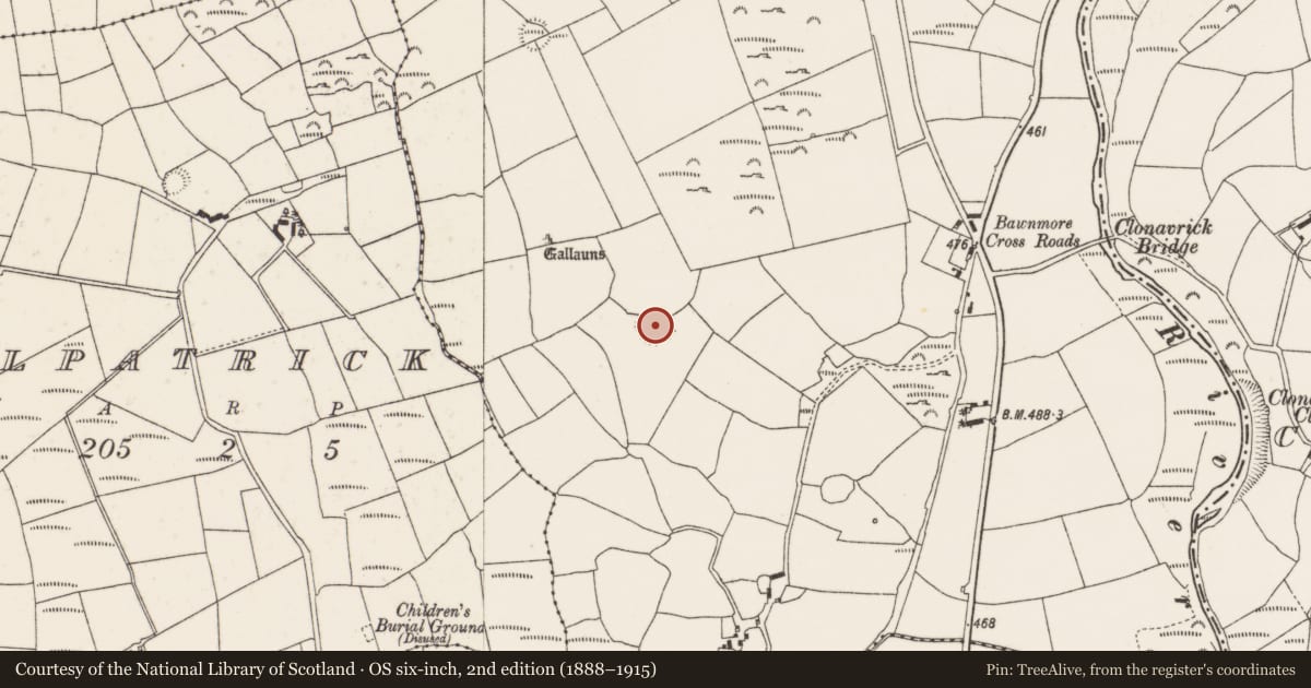 Ordnance Survey six-inch map, 2nd edition (1888–1915) covering the location of Ringfort - rath, Bawnmore, County Cork, with a pin at the register's coordinates