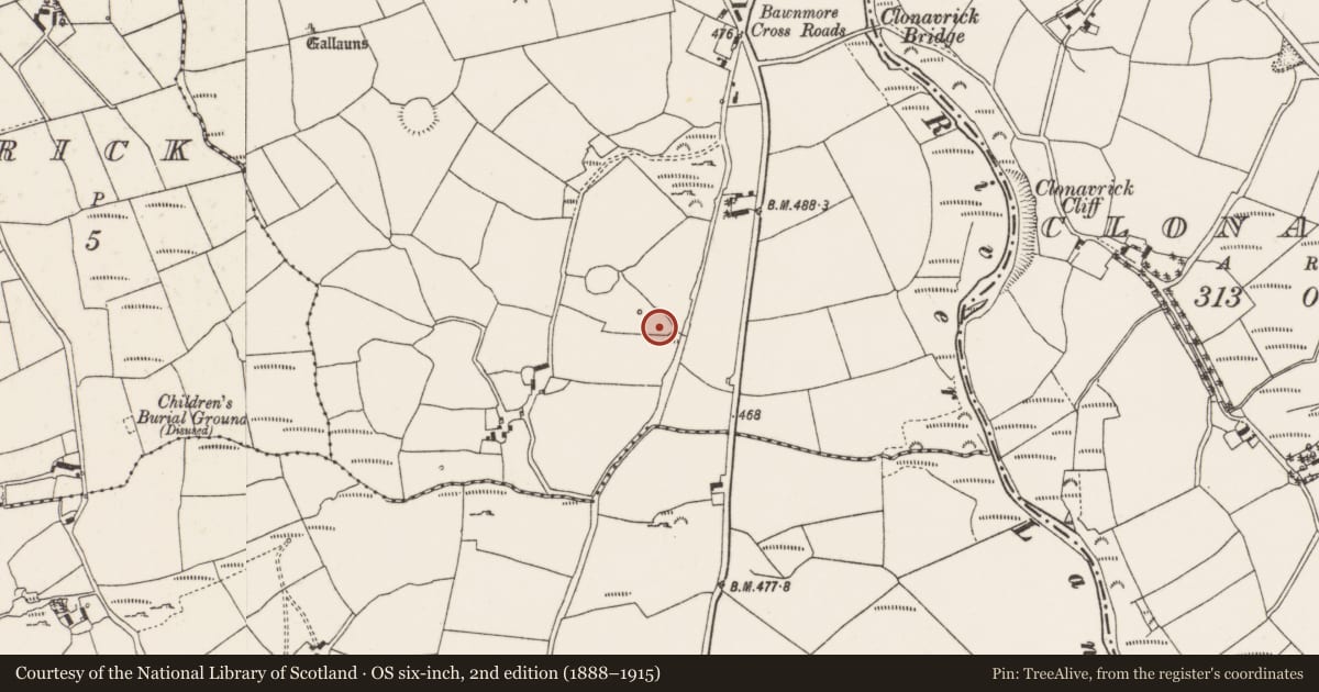 Ordnance Survey six-inch map, 2nd edition (1888–1915) covering the location of Fulacht fia, Bawnmore, County Cork, with a pin at the register's coordinates