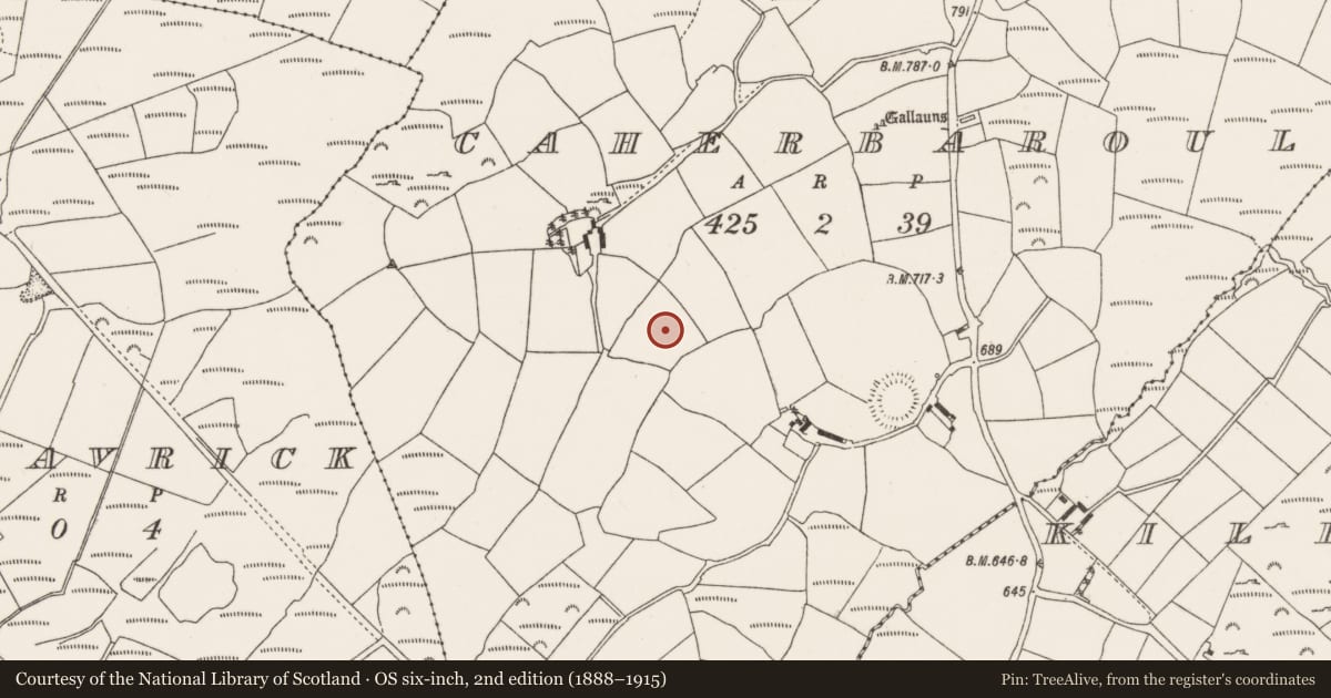 Ordnance Survey six-inch map, 2nd edition (1888–1915) covering the location of Fulacht fia, Caherbaroul, County Cork, with a pin at the register's coordinates