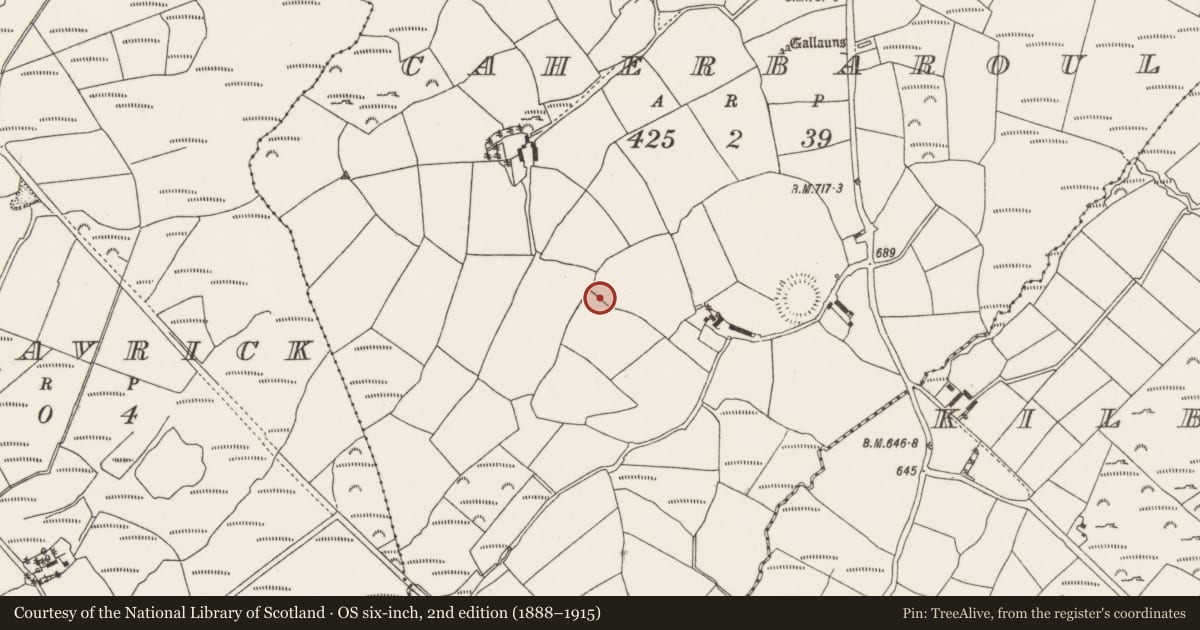 Ordnance Survey six-inch map, 2nd edition (1888–1915) covering the location of Ringfort - rath, Caherbaroul, County Cork, with a pin at the register's coordinates