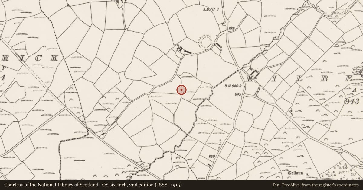 Ordnance Survey six-inch map, 2nd edition (1888–1915) covering the location of Fulacht fia, Caherbaroul, County Cork, with a pin at the register's coordinates