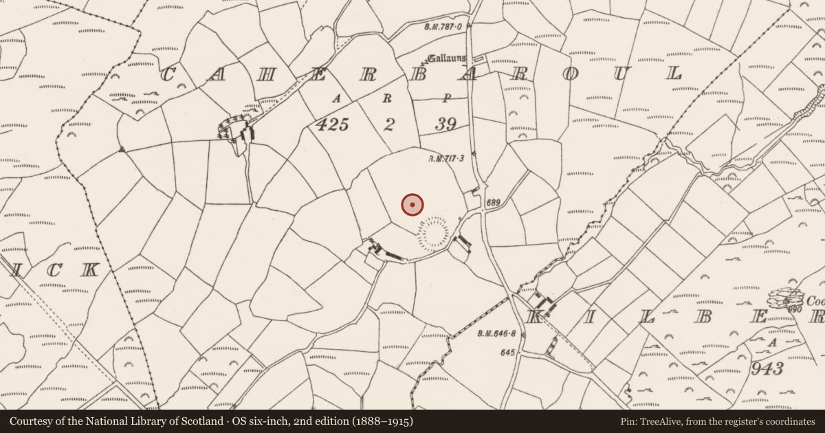 Ordnance Survey six-inch map, 2nd edition (1888–1915) covering the location of Ecclesiastical enclosure, Caherbaroul, County Cork, with a pin at the register's coordinates