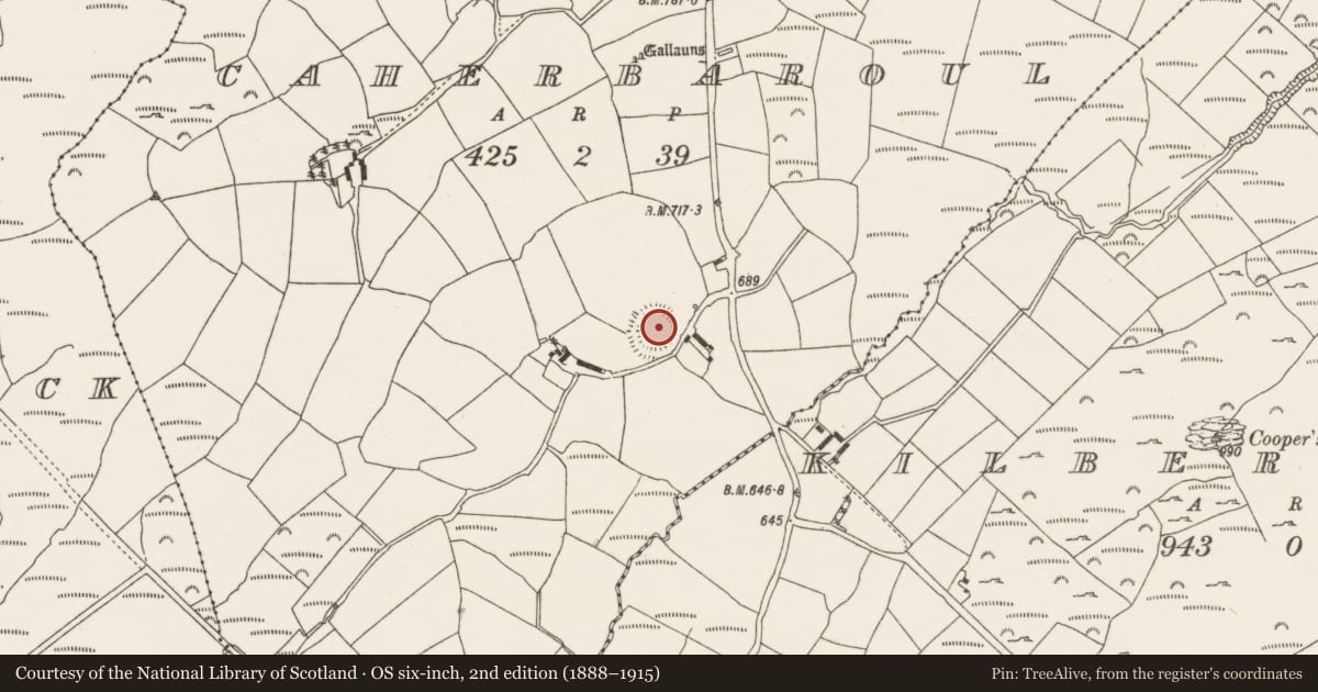 Ordnance Survey six-inch map, 2nd edition (1888–1915) covering the location of Ringfort - rath, Caherbaroul, County Cork, with a pin at the register's coordinates