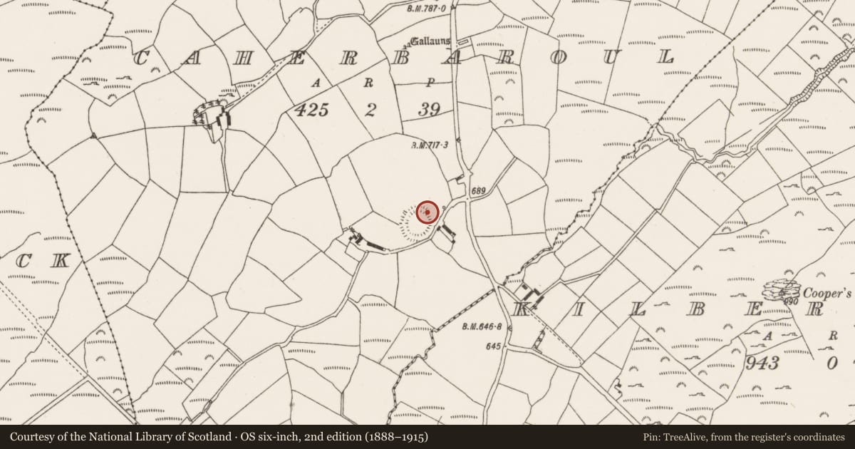 Ordnance Survey six-inch map, 2nd edition (1888–1915) covering the location of Souterrain, Caherbaroul, County Cork, with a pin at the register's coordinates