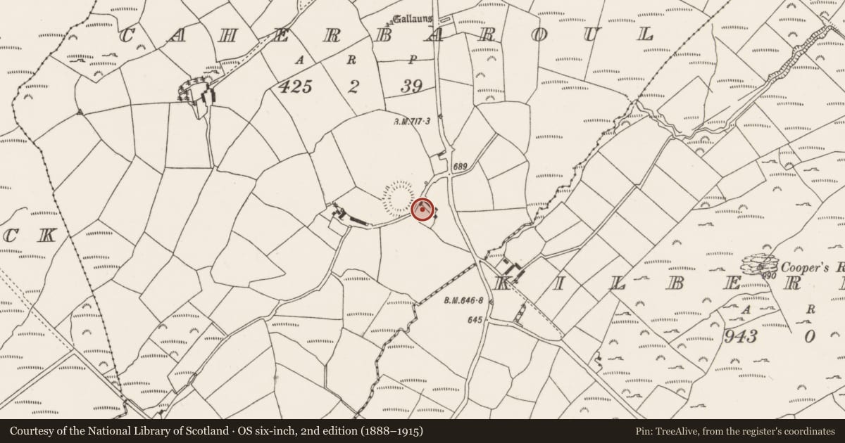 Ordnance Survey six-inch map, 2nd edition (1888–1915) covering the location of Cross-slab, Caherbaroul, County Cork, with a pin at the register's coordinates