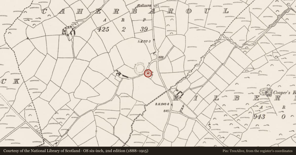 Ordnance Survey six-inch map, 2nd edition (1888–1915) covering the location of Bullaun stone, Caherbaroul, County Cork, with a pin at the register's coordinates
