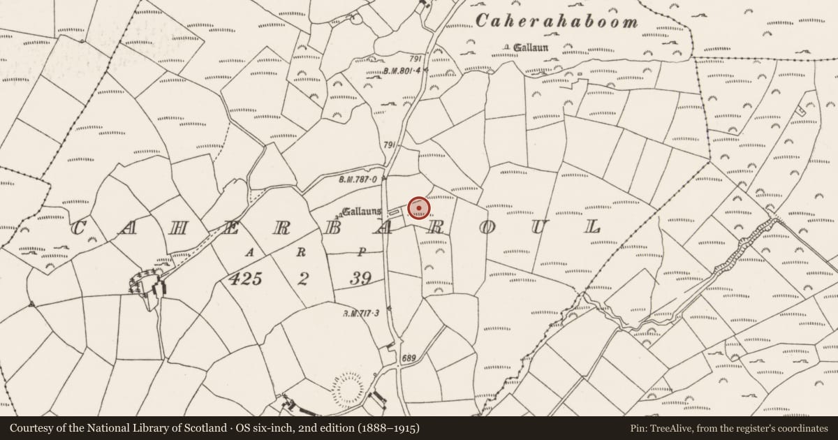 Ordnance Survey six-inch map, 2nd edition (1888–1915) covering the location of Fulacht fia, Caherbaroul, County Cork, with a pin at the register's coordinates