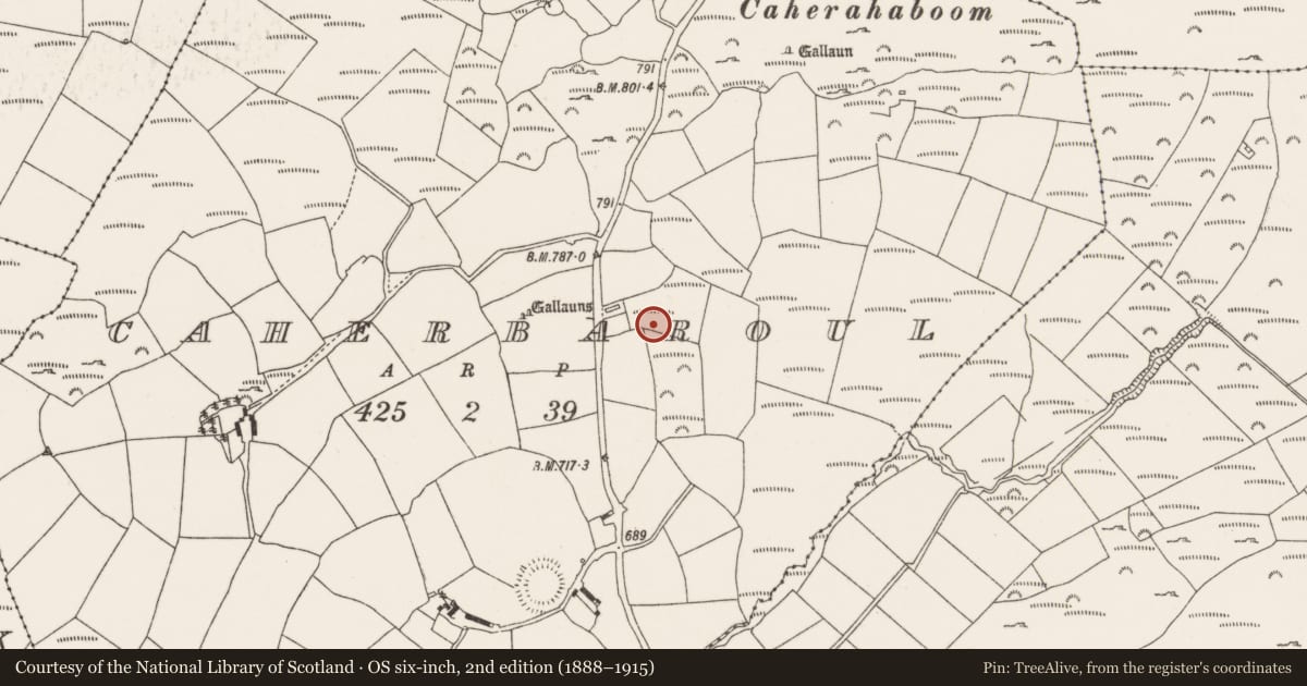Ordnance Survey six-inch map, 2nd edition (1888–1915) covering the location of Fulacht fia, Caherbaroul, County Cork, with a pin at the register's coordinates