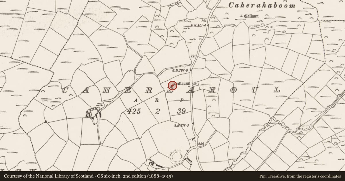 Ordnance Survey six-inch map, 2nd edition (1888–1915) covering the location of Standing stone - pair, Caherbaroul, County Cork, with a pin at the register's coordinates