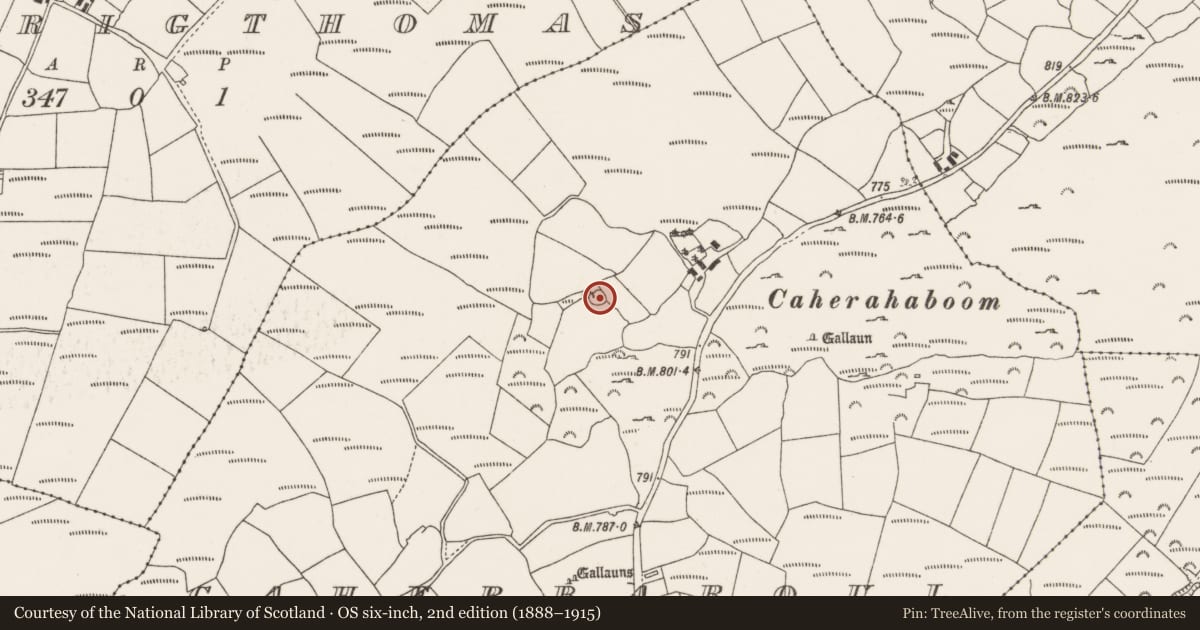Ordnance Survey six-inch map, 2nd edition (1888–1915) covering the location of Ringfort - cashel, Caherbaroul, County Cork, with a pin at the register's coordinates