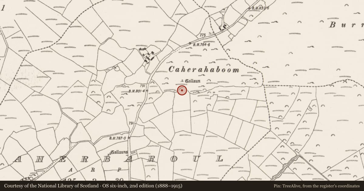 Ordnance Survey six-inch map, 2nd edition (1888–1915) covering the location of Megalithic tomb - wedge tomb, Caherbaroul, County Cork, with a pin at the register's coordinates