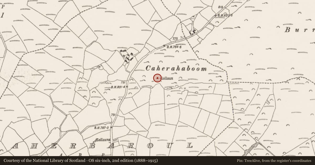 Ordnance Survey six-inch map, 2nd edition (1888–1915) covering the location of Standing stone, Caherbaroul, County Cork, with a pin at the register's coordinates