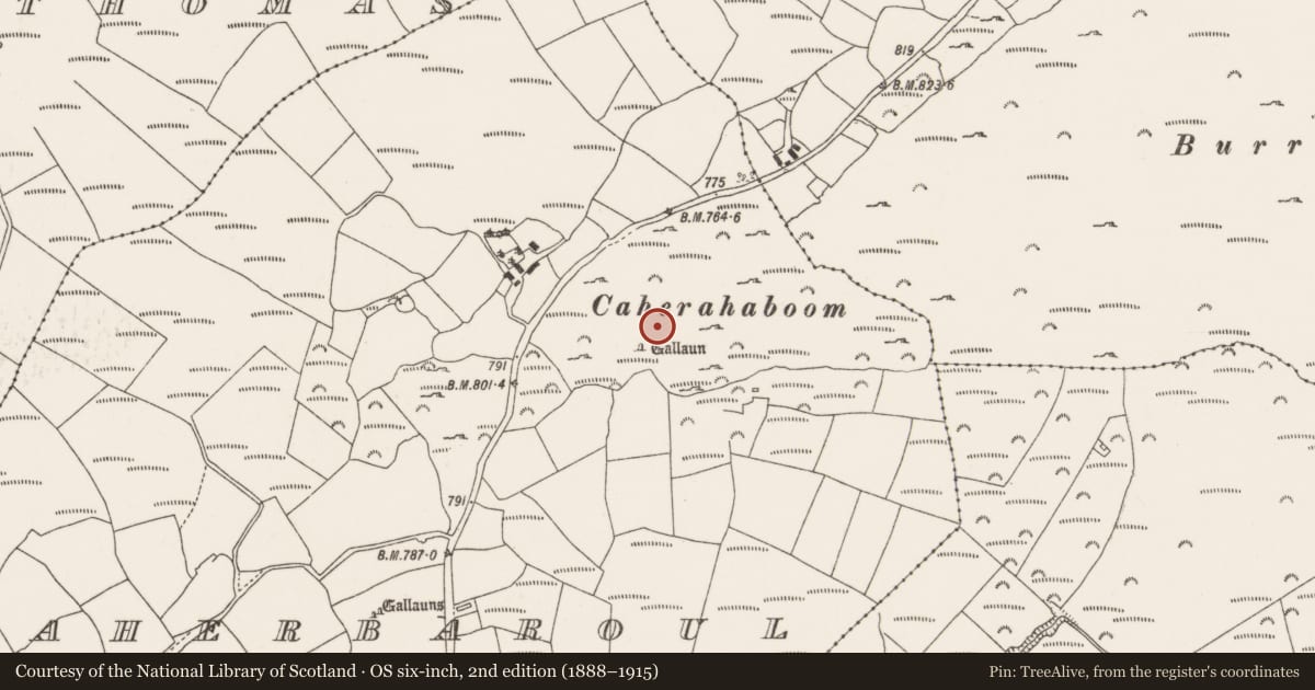 Ordnance Survey six-inch map, 2nd edition (1888–1915) covering the location of Megalithic tomb - wedge tomb, Caherbaroul, County Cork, with a pin at the register's coordinates