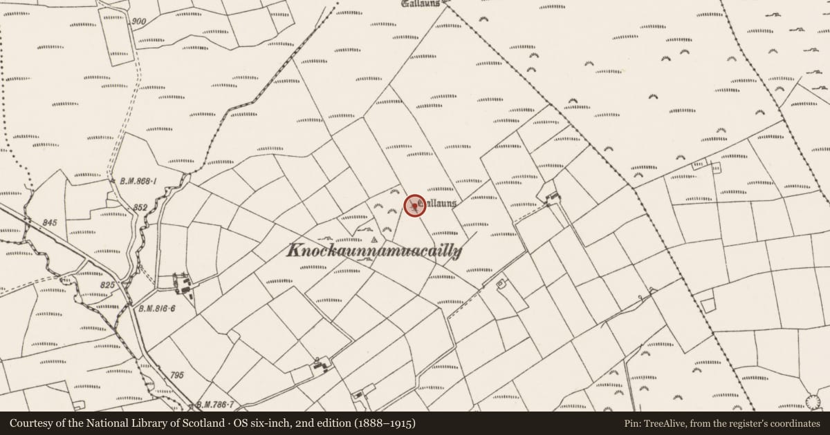 Ordnance Survey six-inch map, 2nd edition (1888–1915) covering the location of Standing stone, Carriganish, County Cork, with a pin at the register's coordinates