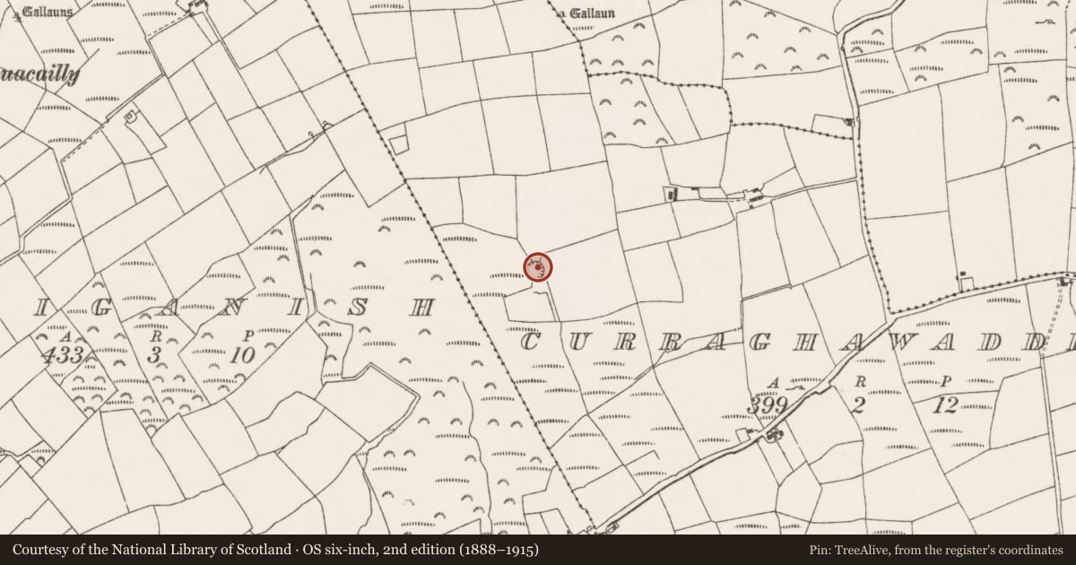 Ordnance Survey six-inch map, 2nd edition (1888–1915) covering the location of Ringfort - rath, Curraghawaddra, County Cork, with a pin at the register's coordinates