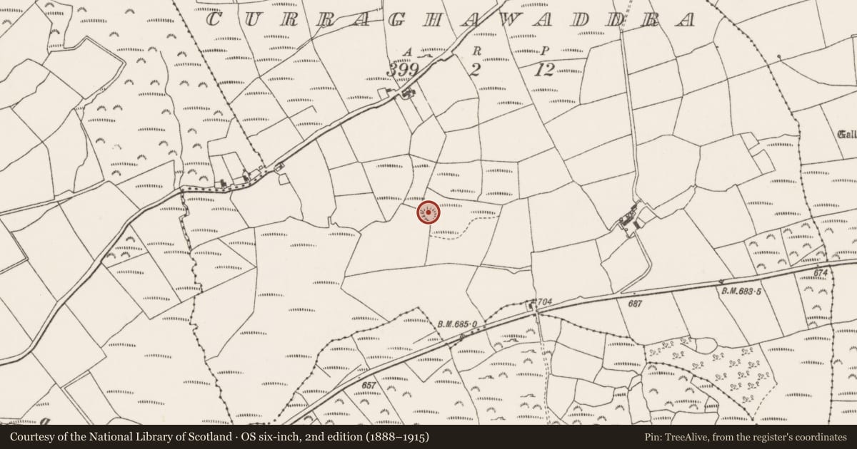 Ordnance Survey six-inch map, 2nd edition (1888–1915) covering the location of Ringfort - rath, Curraghawaddra, County Cork, with a pin at the register's coordinates