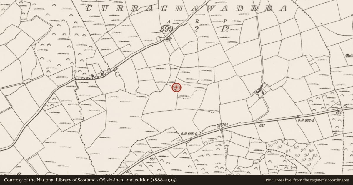 Ordnance Survey six-inch map, 2nd edition (1888–1915) covering the location of Souterrain, Curraghawaddra, County Cork, with a pin at the register's coordinates