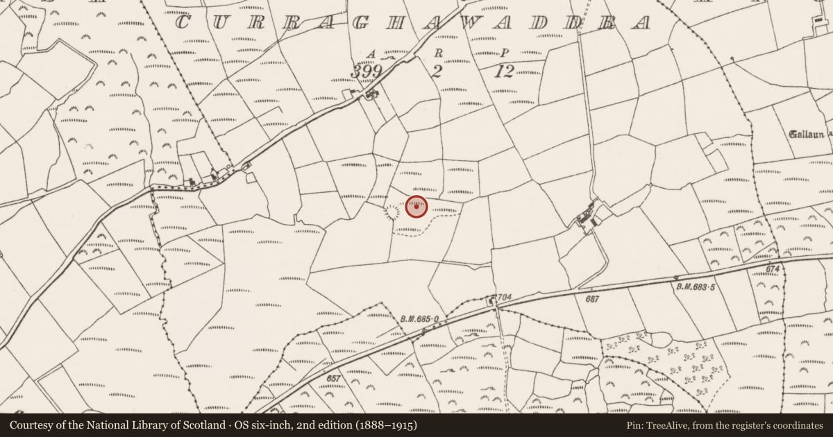 Ordnance Survey six-inch map, 2nd edition (1888–1915) covering the location of Enclosure, Curraghawaddra, County Cork, with a pin at the register's coordinates