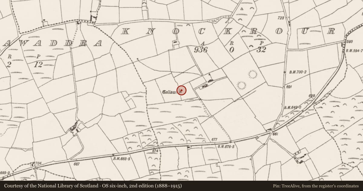 Ordnance Survey six-inch map, 2nd edition (1888–1915) covering the location of Standing stone, Knockrour, County Cork, with a pin at the register's coordinates