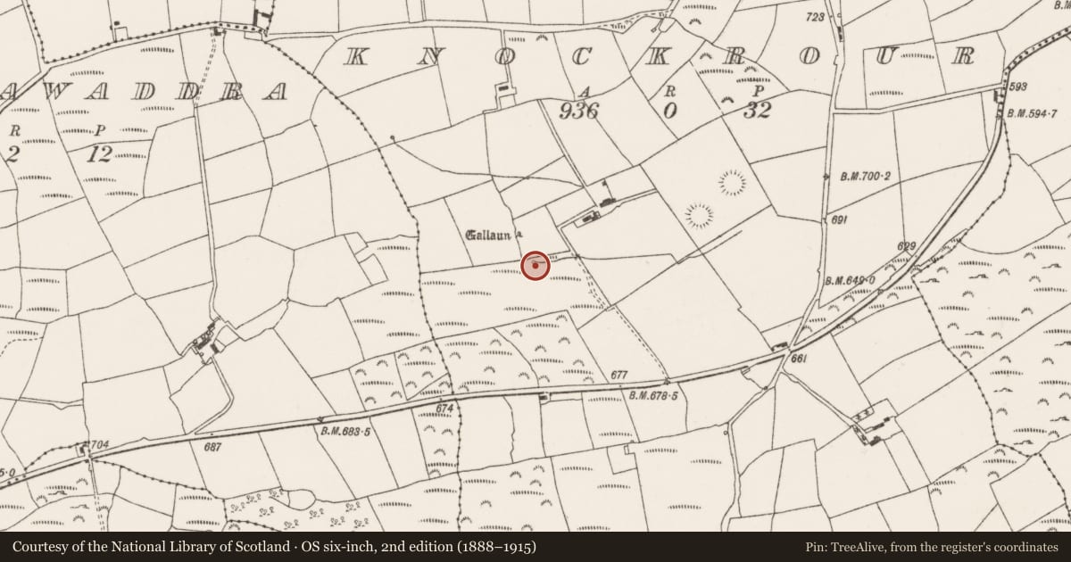 Ordnance Survey six-inch map, 2nd edition (1888–1915) covering the location of Fulacht fia, Knockrour, County Cork, with a pin at the register's coordinates