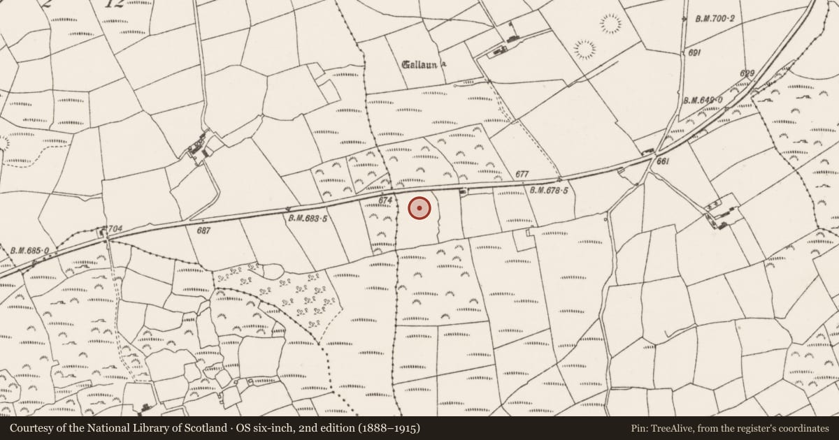 Ordnance Survey six-inch map, 2nd edition (1888–1915) covering the location of Standing stone, Knockrour, County Cork, with a pin at the register's coordinates