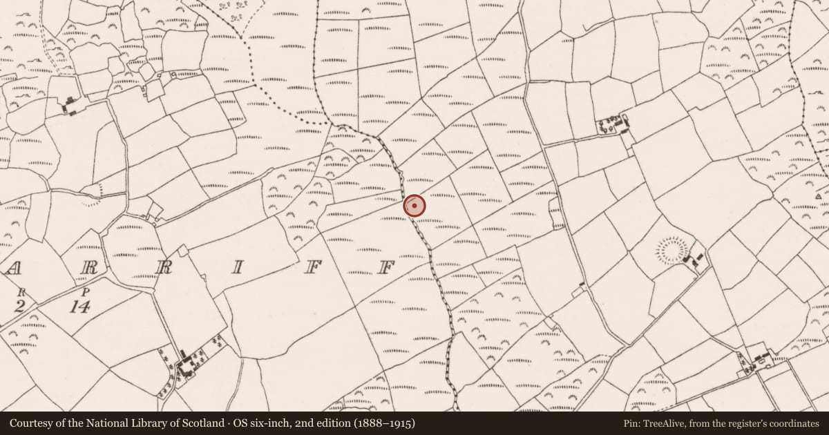 Ordnance Survey six-inch map, 2nd edition (1888–1915) covering the location of Fulacht fia, Knockrour, County Cork, with a pin at the register's coordinates