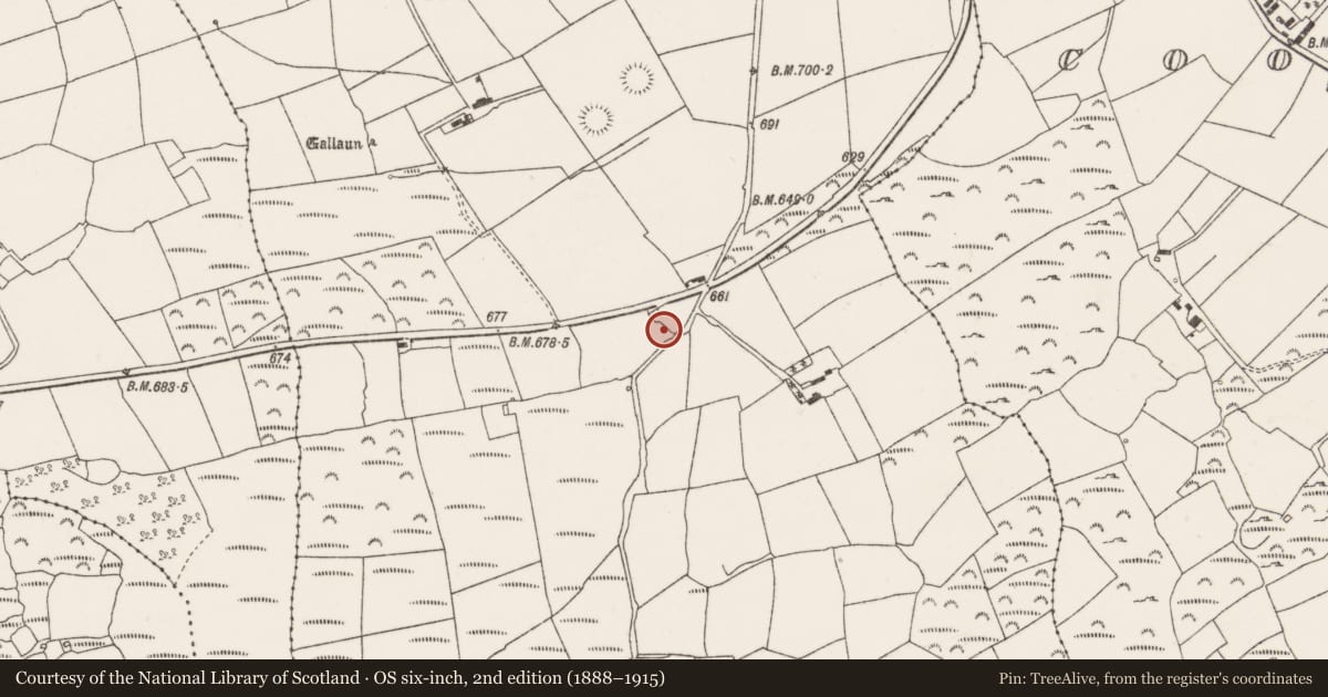Ordnance Survey six-inch map, 2nd edition (1888–1915) covering the location of Standing stone, Knockrour, County Cork, with a pin at the register's coordinates