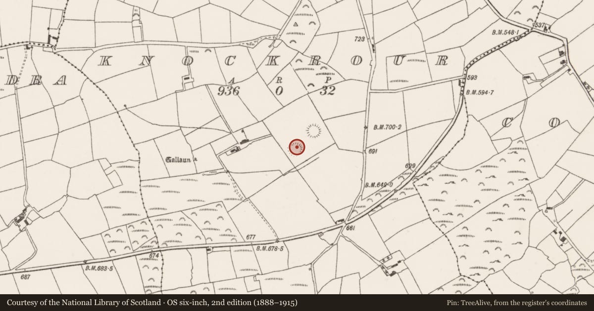 Ordnance Survey six-inch map, 2nd edition (1888–1915) covering the location of Ringfort - rath, Knockrour, County Cork, with a pin at the register's coordinates