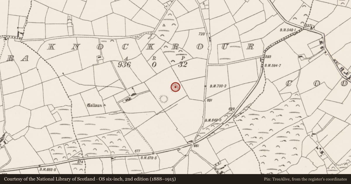 Ordnance Survey six-inch map, 2nd edition (1888–1915) covering the location of Ringfort - rath, Knockrour, County Cork, with a pin at the register's coordinates
