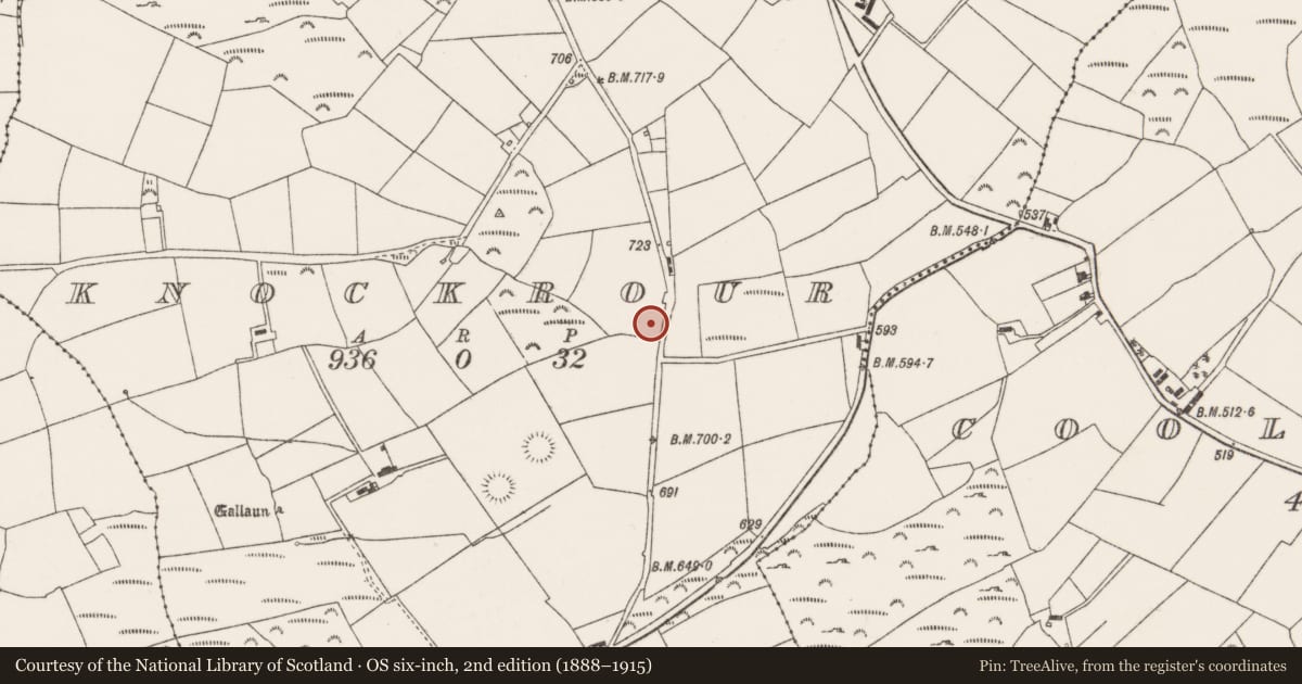 Ordnance Survey six-inch map, 2nd edition (1888–1915) covering the location of Church, Knockrour, County Cork, with a pin at the register's coordinates