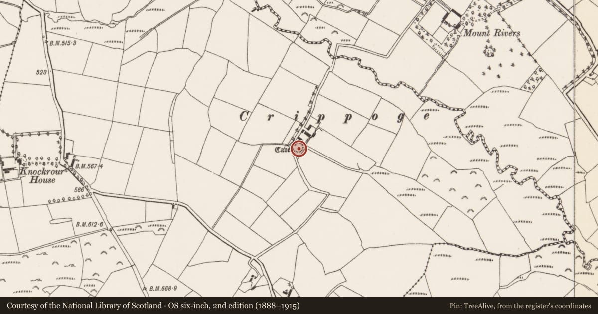 Ordnance Survey six-inch map, 2nd edition (1888–1915) covering the location of Ringfort - rath, Knockrour, County Cork, with a pin at the register's coordinates