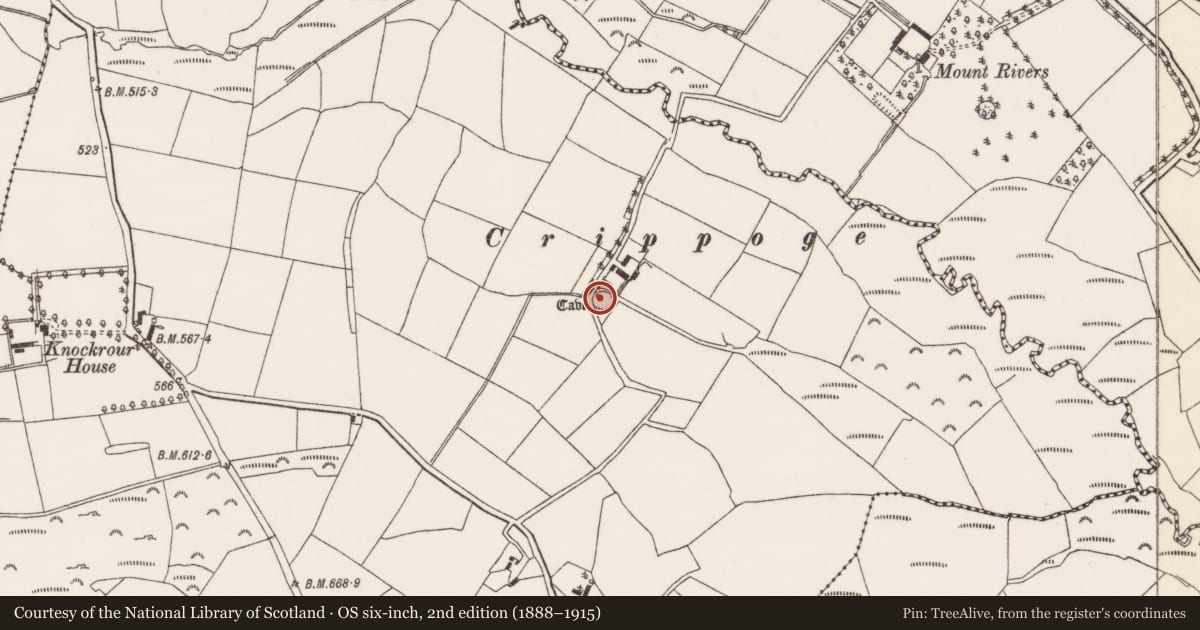 Ordnance Survey six-inch map, 2nd edition (1888–1915) covering the location of Souterrain, Knockrour, County Cork, with a pin at the register's coordinates