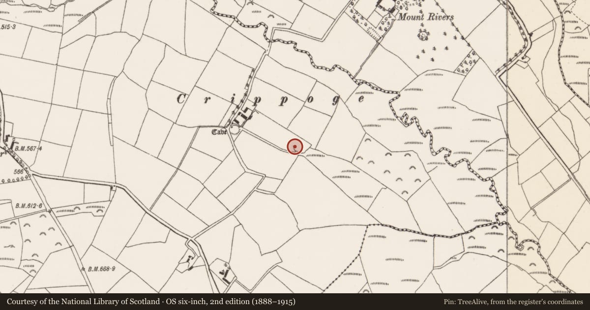 Ordnance Survey six-inch map, 2nd edition (1888–1915) covering the location of Souterrain, Knockrour, County Cork, with a pin at the register's coordinates