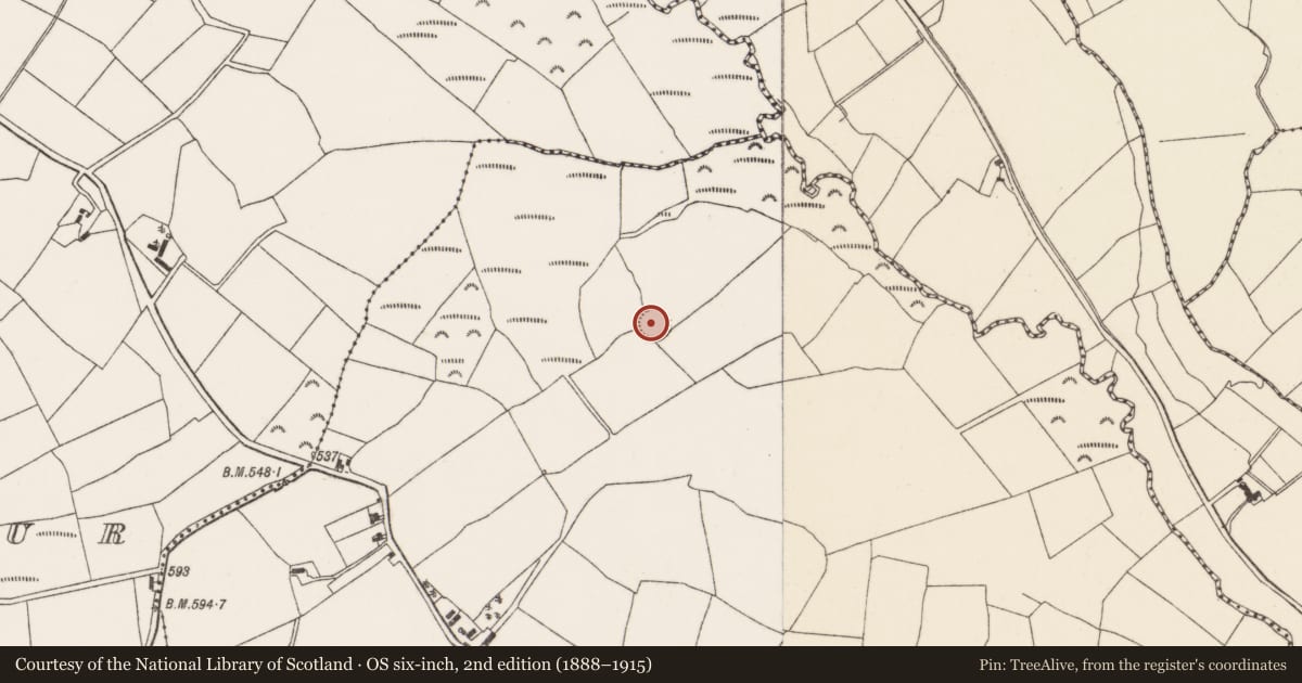 Ordnance Survey six-inch map, 2nd edition (1888–1915) covering the location of Ringfort - rath, Coolineagh, County Cork, with a pin at the register's coordinates