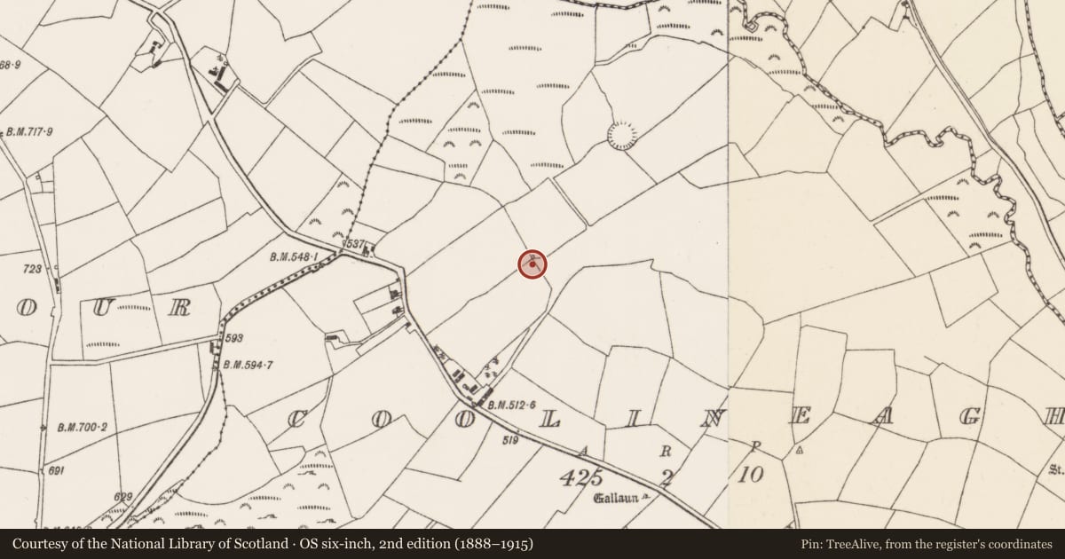 Ordnance Survey six-inch map, 2nd edition (1888–1915) covering the location of Fulacht fia, Coolineagh, County Cork, with a pin at the register's coordinates