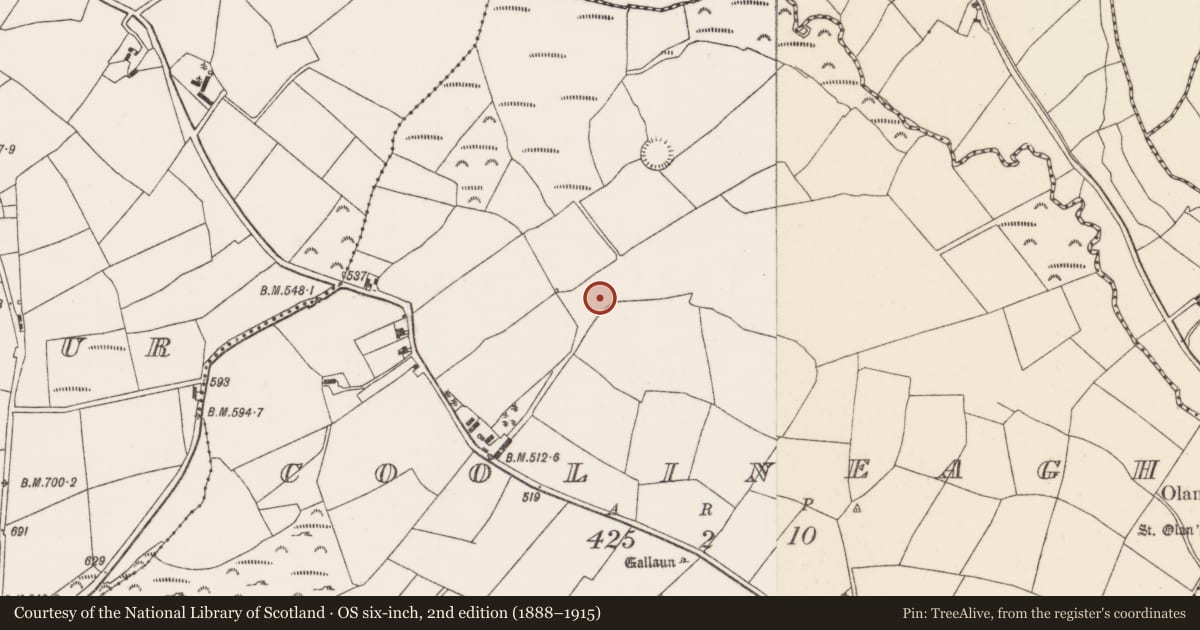 Ordnance Survey six-inch map, 2nd edition (1888–1915) covering the location of Fulacht fia, Coolineagh, County Cork, with a pin at the register's coordinates