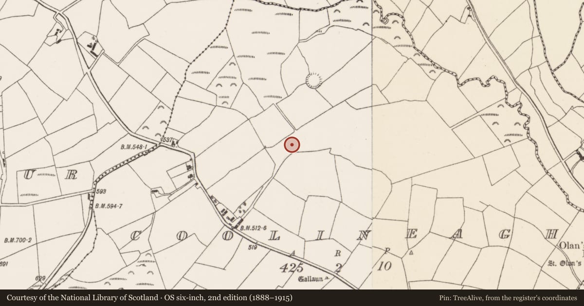 Ordnance Survey six-inch map, 2nd edition (1888–1915) covering the location of Fulacht fia, Coolineagh, County Cork, with a pin at the register's coordinates