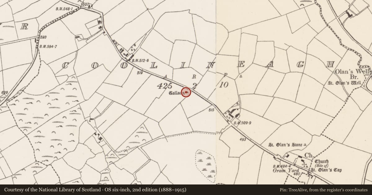 Ordnance Survey six-inch map, 2nd edition (1888–1915) covering the location of Standing stone, Coolineagh, County Cork, with a pin at the register's coordinates
