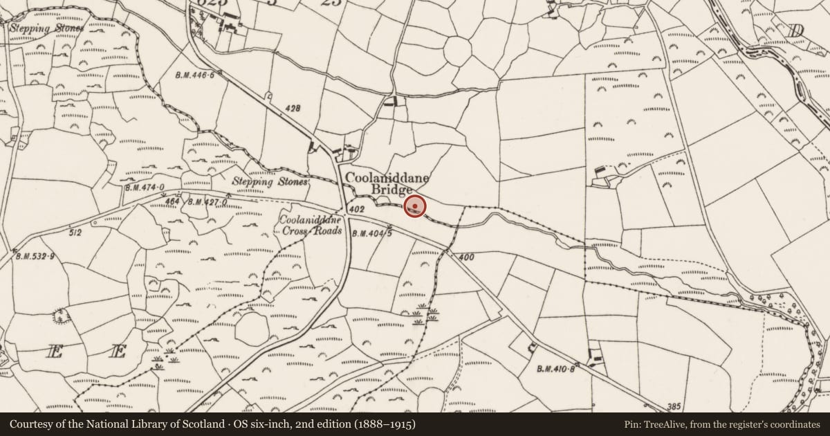Ordnance Survey six-inch map, 2nd edition (1888–1915) covering the location of Fulacht fia, Coolaniddane, County Cork, with a pin at the register's coordinates