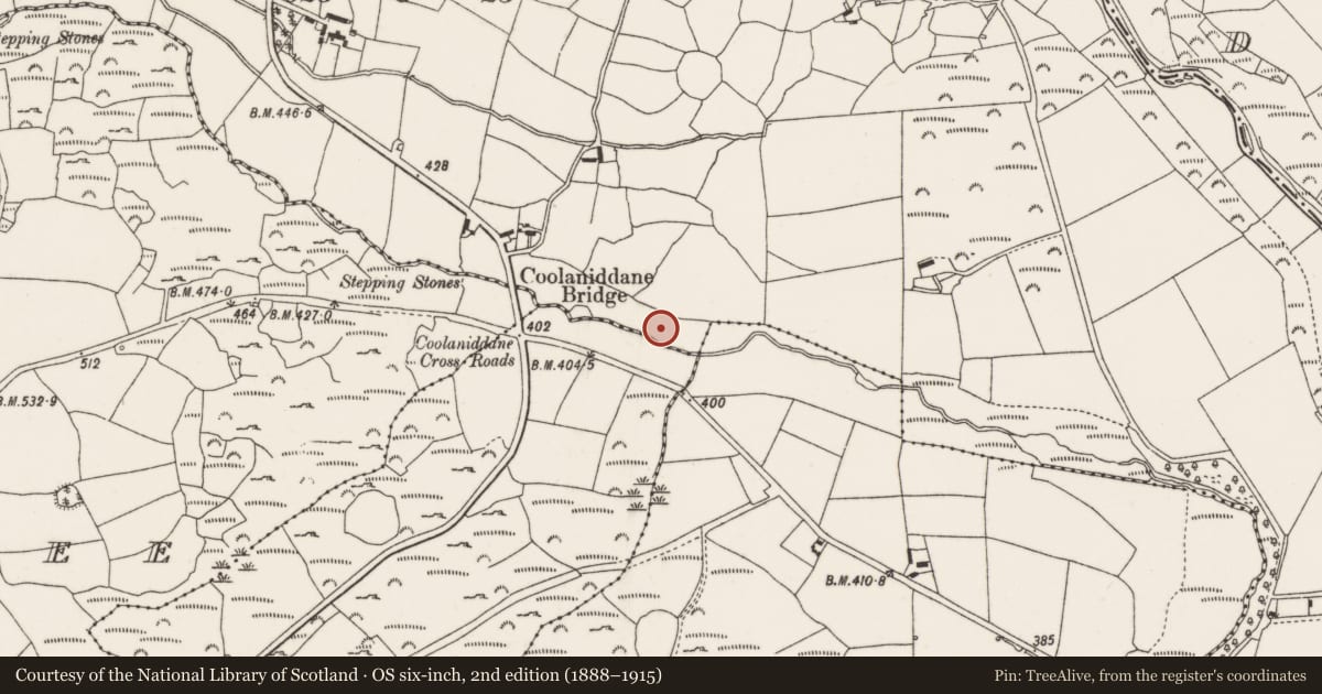 Ordnance Survey six-inch map, 2nd edition (1888–1915) covering the location of Fulacht fia, Coolaniddane, County Cork, with a pin at the register's coordinates