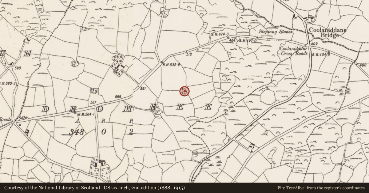 Ordnance Survey six-inch map, 2nd edition (1888–1915) covering the location of Ringfort - rath, Dromree, County Cork, with a pin at the register's coordinates