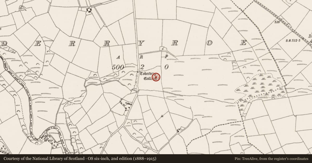 Ordnance Survey six-inch map, 2nd edition (1888–1915) covering the location of Barrow - ring-barrow, Derryroe, County Cork, with a pin at the register's coordinates
