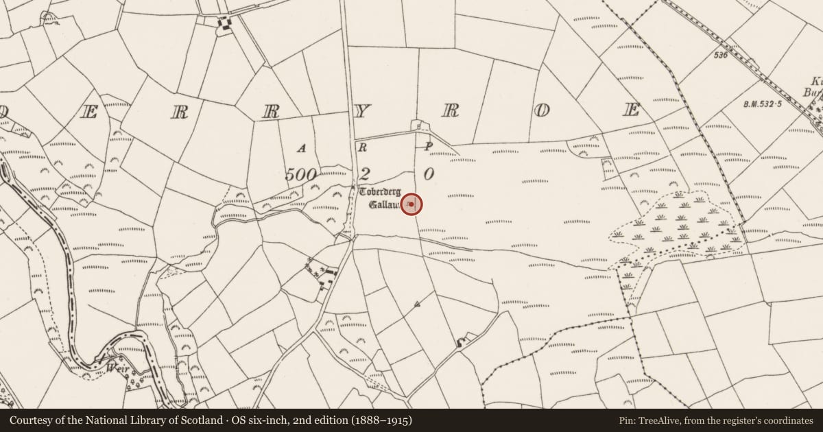 Ordnance Survey six-inch map, 2nd edition (1888–1915) covering the location of Standing stone, Derryroe, County Cork, with a pin at the register's coordinates