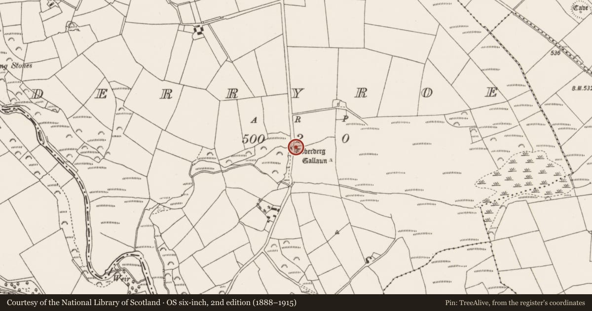 Ordnance Survey six-inch map, 2nd edition (1888–1915) covering the location of Ritual site - holy well, Derryroe, County Cork, with a pin at the register's coordinates