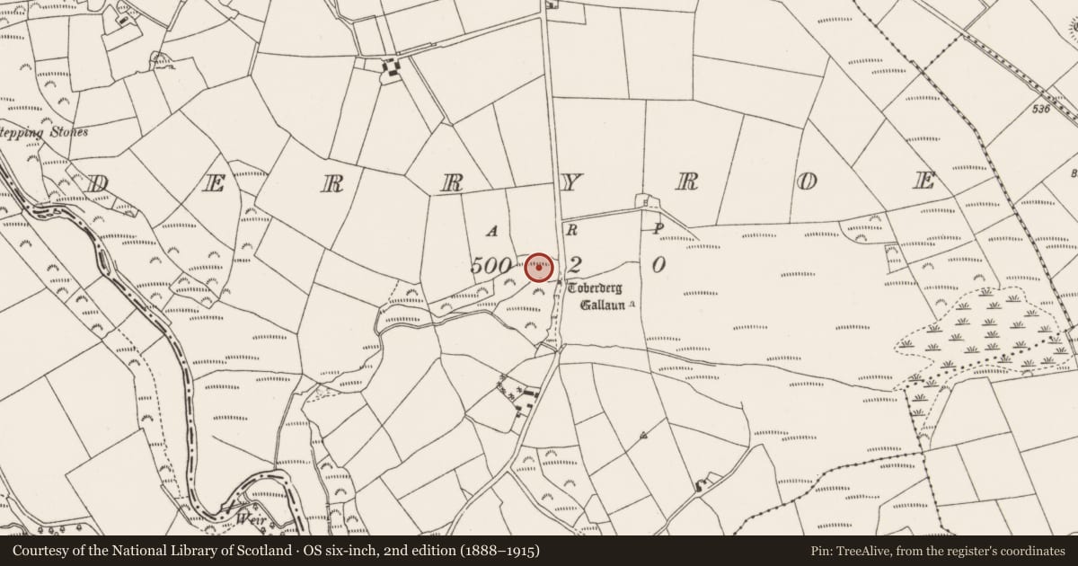 Ordnance Survey six-inch map, 2nd edition (1888–1915) covering the location of Fulacht fia, Derryroe, County Cork, with a pin at the register's coordinates