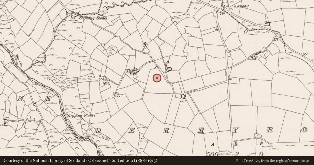 Ordnance Survey six-inch map, 2nd edition (1888–1915) covering the location of Fulacht fia, Derryroe, County Cork, with a pin at the register's coordinates