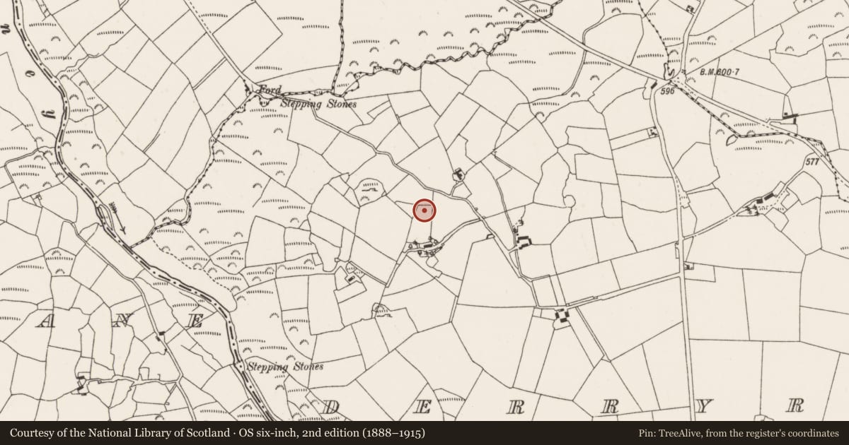 Ordnance Survey six-inch map, 2nd edition (1888–1915) covering the location of Ringfort - cashel, Derryroe, County Cork, with a pin at the register's coordinates